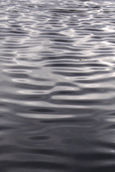 Click on this image to enlarge it