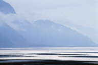 Click on this image to enlarge it